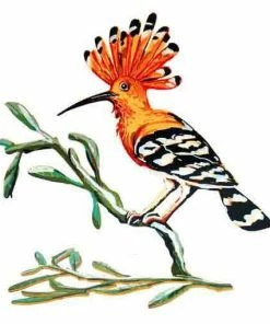 D. Gerstein Art & Judaica Hoopoe Bird