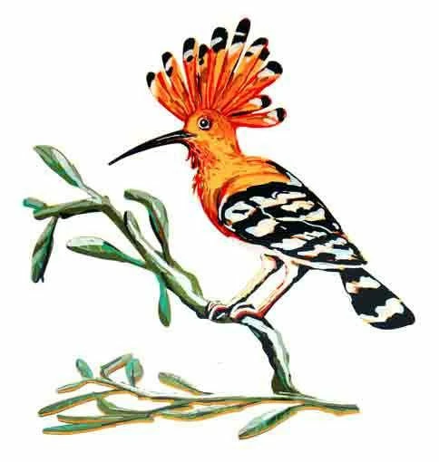D. Gerstein Art & Judaica Hoopoe Bird